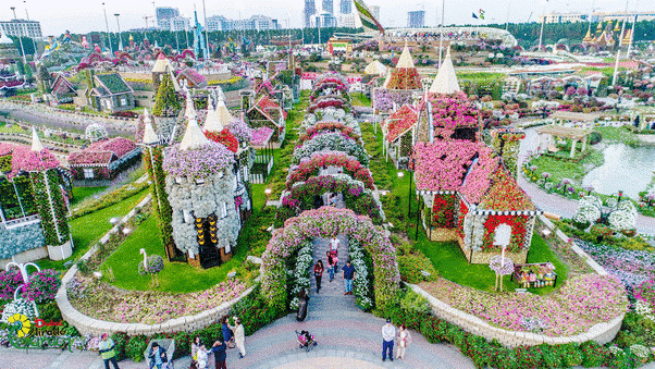 Dubai Flower Garden